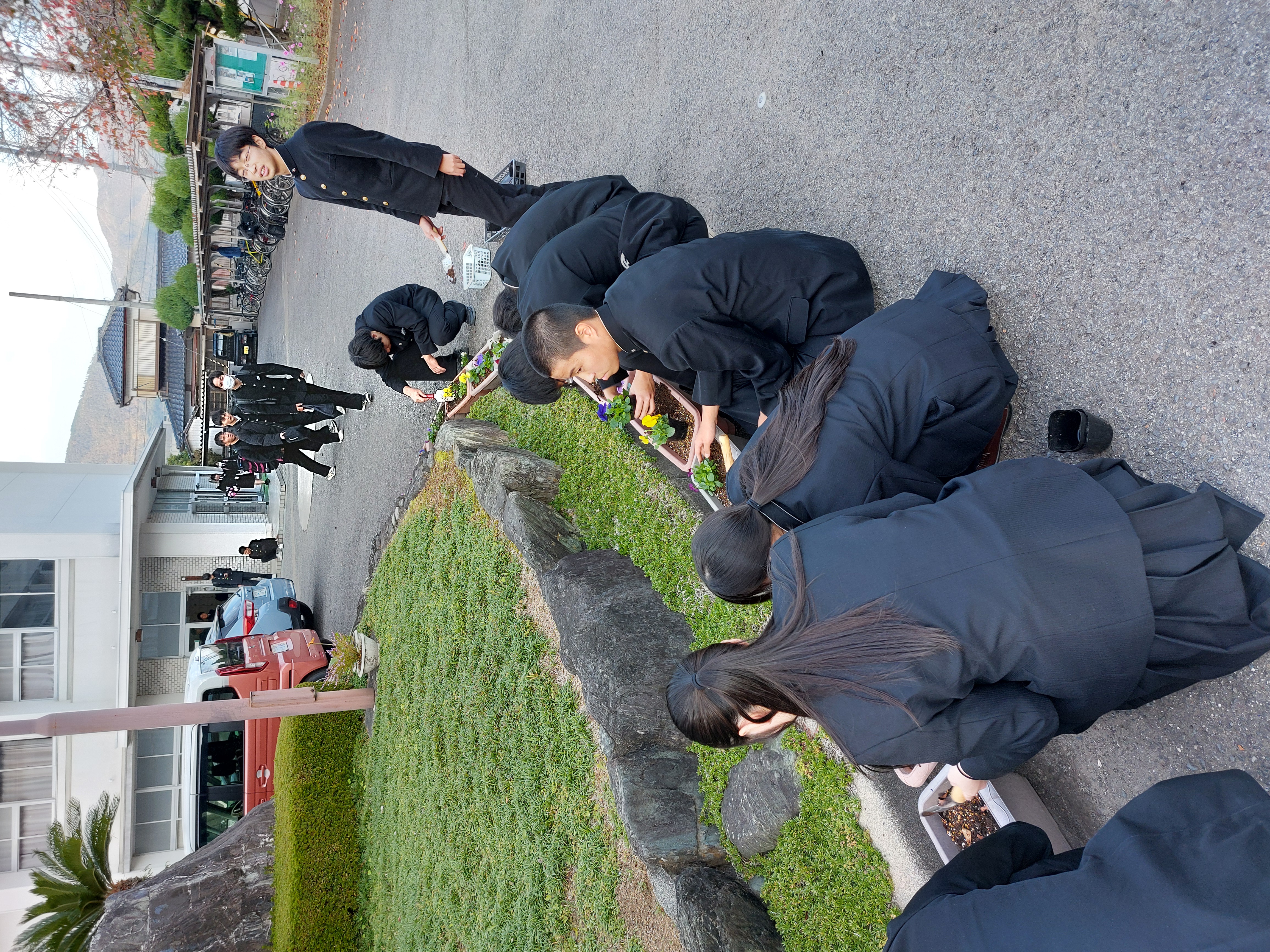 20251117_花いっぱい運動