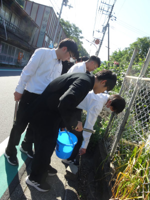 道路脇